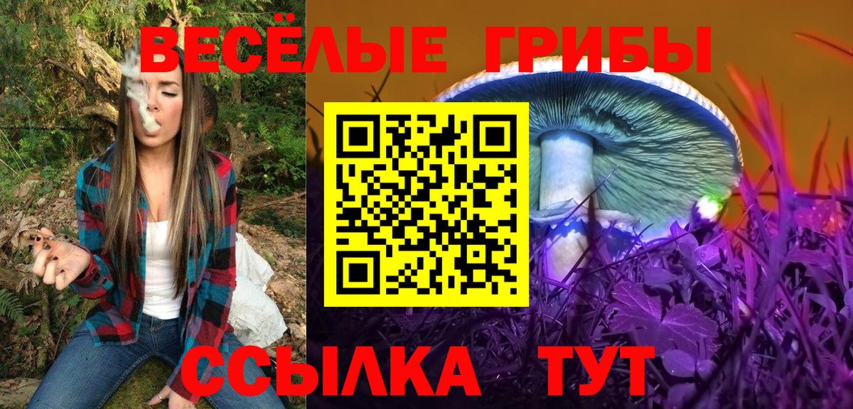 Галлюциногенные грибы Psilocybine cubensis Бердск