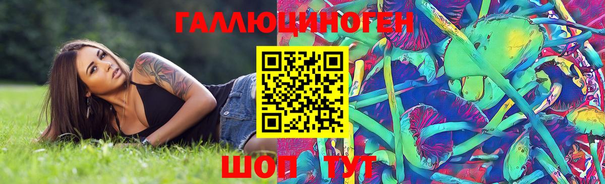 Галлюциногенные грибы прущие грибы  Вход с VPN  Бердск 